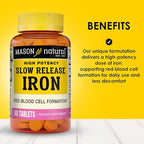 Mason Natural Slow,Release Iron (Ferrous Sulfate) 50 mg Tablets, 180 Day Supply, High Potency Supplement, Gentle on Stomach, 3 Pack