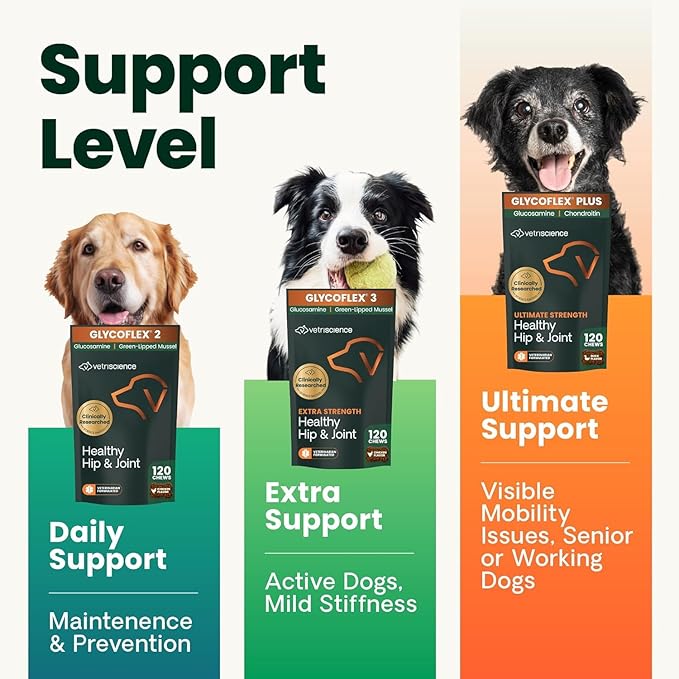 VetriScience Ultimate Strength Hip & Joint Supplement for Dogs, GlycoFlex Plus – MSM, Chondroitin & Green-Lipped Mussel Chews for Mobility, Flexibility, Comfort & Support, Peanut Butter Flavor 120 Cnt