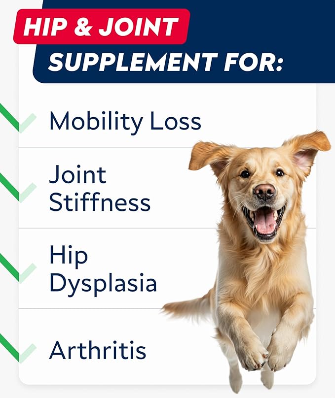 Glucosamine Treats for Dogs - Joint Supplement w/Omega-3 Fish Oil - Chondroitin, MSM - Advanced Mobility Chews - Joint Pain Relief - Hip & Joint Care - Bacon Flavor - 240 Ct - Made in USA