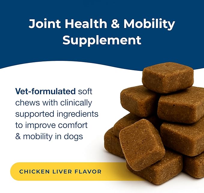 PetAg Dyne Soft Chews, Joint Health & Mobility Supplement - Vet-Formulated for Dogs - with UC-II® Collagen - Up to 4X More Effective Than Glucosamine/Chondroitin - 45 Chicken Liver Flavor Chews