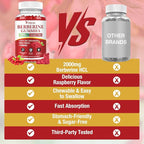 2 Pack Berberine Gummies with Ceylon Cinnamon, 2000mg Berberine HCL Supplement for Women & Men, Sugar Free, Vegan, Non-GMO, Gluten-Free, Raspberry Flavor-120 Count