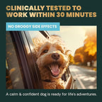 VetriScience Clinically Tested Composure Calm & Confident Chews - Supplement for Dogs with Anxiety, Stress & Fear with L-Theanine for Thunderstorms, Fireworks or Travel, Peanut Butter, 60 Count