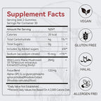 Mushroom Gummies with Lion’s Mane - Alpha Brain Gummy for Focus & Memory - Nootropic Focus Gummies with Rhodiola & Alpha-GPC – Vegan Brain Supplement, Raspberry Pomegranate Flavor, 60 Count (1)