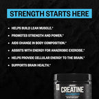 ONNIT Creatine Monohydrate Powder – IGEN™ Non-GMO Tested, 5g Premium Creatine for Muscle Strength, Power & Lean Mass, Supports Brain Health & Cellular Energy, Unflavored, 30 Servings, 5.29 oz 3-Pack