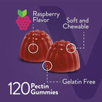 Viteey Womens Multivitamin Gummies - Immune Support - 12 in 1 Essential Vitamins & Minerals - Vitamin A, C, D3, E, B6, B12, Folic Acid, Biotin, Calcium, Zinc & More - Vegetarian - Raspberry Flavored
