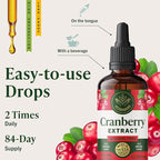 HERBAMAMA Cranberry Supplement Tincture - Vegan Urinary Tract Support for Men and Women with Cranberry Extract - Non-GMO, Alcohol & Sugar-Free Kidney Support Supplement, 84-Day Supply