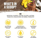 Ambrosia Planta - Premium Plant-Based Protein | Vegan & Keto Friendly | Gourmet Flavors with No Bloating or Stomach Upset | No Added Sugar | 14 Servings | (Banana Maple)