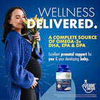 Vegan Omega 3 Supplement – Algae Omega 3 with DHA EPA DPA – Vegan Capsules from Algal – Fish Oil Alternative – Plant-Based Algae Oil Formula – Non-GMO, Carrageenan-Free, High Strength