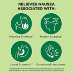 From the Makers of Dramamine, Advanced Herbals Ginger Chews for Nausea Relief, Morning Sickness Relief & Motion Sickness Relief During Travel, Lemon-Honey, 20 Count