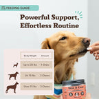 Natural Dog Company Vet Strength Omega Skin & Coat Chews for Dogs – Supports Itchy Skin Relief, Moisture Balance & Coat Hydration, Biotin & Vitamin E, Dry Skin Care, Vet-Recommended, USA Made, 90 Ct