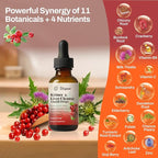 Kidney Cleanse Drops with Cranberry Extract, Milk Thistle, Chanca Piedra & Artichoke - Herbal Supplement for Liver Kidney Detox & Urinary Tract Support, 60ml