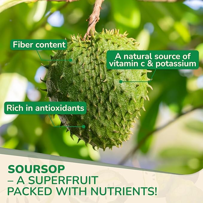 Biolore Soursop Graviola Gummies – 30 Days Supply, Soursop Leaf & Fruit Extract, Natural Apple Flavor, Sugar Free, Gluten Free, Vegan Friendly