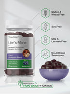 Horbaach Lions Mane Supplement | 60 Gummies | 10-in-1 Mushroom Complex | with Turkey Tail, Reishi, Cordyceps, Chaga, Maitake, and Shiitake | Blueberry Flavor | Non-GMO & Gluten Free