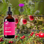 Mountain Meadow Herbs Gentle Birth for Birth Prep/Labor Prep, Fast Acting Liquid Herbal Extract for Childbirth Support - 4oz