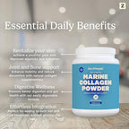 Zen Principle Marine Collagen Peptides Powder 1.5 lb. Wild-Caught Fish, Non-GMO. Supports Healthy Skin, Hair, Joints and Bones.Hydrolyzed Types I, II, III, and IV Protein. Amino Acids. Easy to Mix.