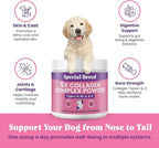 Premium 5X Collagen Powder for Dogs - Types I, II, III, V & X - Skin, Join, Gut & Coat Support - Collagen Powder with Bamboo & Vitamin C, 180 Scoops 4.28 oz