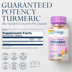 SOLARAY Turmeric Supplement 300 mg - Turmeric Root Extract with 95% Curcumin - Joint Support Supplement for Joint Health and Comfort - Non-GMO, Vegan, Gluten Free, 60-Day Guarantee, 120 Servings