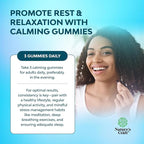 Calming Gummies for Adults with Ashwagandha and Magnesium - Relaxing Stress Gummies with L Theanine 5HTP and Lemon Balm Extract - Adaptogenic Chamomile Extract Vitamin B6 - 90 Count (Pack of 2)