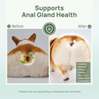 HICC PET Wipes for Dogs & Cats, Vet Recommended Cleaning Deodorizing & Soothing Allergy Infections Anal Gland Wipes, Hypoallergenic Hydrating & Nourish Fur Dog Grooming Wipes for Paw, Butt, Body