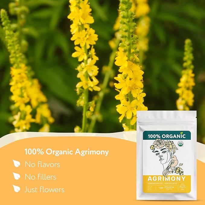 USDA Organic Agrimony Herb (3oz.) - Agrimonia eupatoria – Dried Agrimoney Loose Leaf Tea – Traditional Digestive Herbal Tea – Product of Ukraine