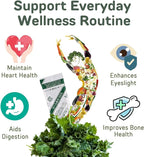 Yamamoto Kanpoh YAMAKAN Kale Powder with Fiber & Vitamin B Blend, Super Greens Powder for Kale Juice Drink, Greens Superfood Mix from Japan, Vegan, 22 Count