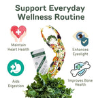 山本漢方製薬株式会社 YAMAKAN Natural Kale Powder for Smoothies& Drinks, Kale Green Juice, Powder Kale Drink with Fiber for Daily Energy, Digestive Gut Health& Immune System, Vegan from Japan, 44 Count