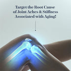 Synocell Glucosamine Chondroitin Complex Back, Neck, and Joint Support Supplement with Boswellia, Quercetin, & MSM - Renew Your Joints from the Inside Out - Move with Freedom and Ease