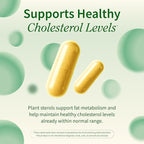Snap Supplements Cholesterol Health - Artichoke, Milk Thistle, Garlic, and Berberine Supplement with Beta Sitosterol (95% Plant Sterols) for Digestive and Metabolic Support, 60 Capsules (30 Servings)