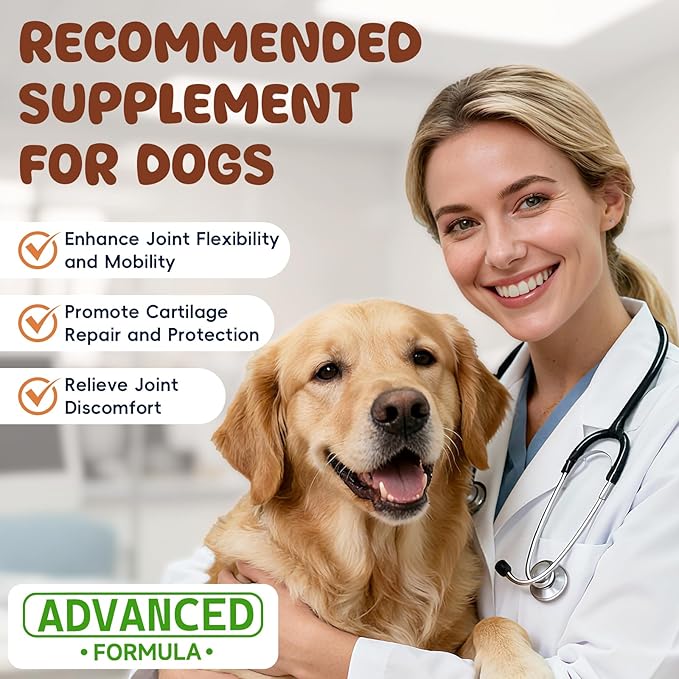 Glucosamine for Dogs Hip and Joint Supplement 200 PCS Glucosamine Chondroitin MSM for Dogs Hip & Joint Pain Relief Mobility Support for All Small Medium Large Breeds Chicken Flavor