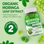 Moringa Gummies for Women Men w/Probiotic Turmeric Ginger Ceylon Cinnamon, Sugar Free, Organic Moringa Powder Capsules Alternatives, Pure Moringa Leaves Green Superfood Supplement - Vegan, 120Cts