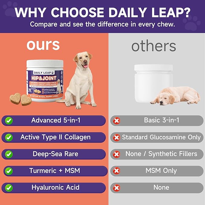 3g 90 Count Hip & Joint Supplement for Dogs with Undenatured Type II Collagen, MSM, Green Lipped Mussel, Glucosamine, Chondroitin Support Mobility, Chicken Flavored Soft Chews