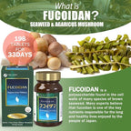 FINE JAPAN Fucoidan with Wakame Seaweed Extract & Agaricus Extract - Vegetarian kelp Supplement, 33-Day Supply (198 Capsules)