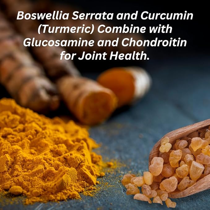 INVIGOFLEX Glucosamine & Chondroitin Sulfate - Turmeric Curcumin - Boswellia Serrata (Non GMO) 24 - Hour Premium Joint Supplement AMPM - 2 Pack