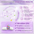 ZEBORA Probiotics for Women Digestive Health with Enzymes & Prebiotics 100 Billion CFUs| Vaginal Probiotics with D Mannose & Cranberry | Urinary Tract Health | Immune Support, 90 Capsules