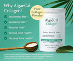 ALGAECAL Collagen - 4 Clinically-Supported Peptides VERISOL®, FORTIGEL®, UC-II®, FORTIBONE®, Anti-Aging Hydrolyzed Collagen Powder, 60 Servings, Made in USA