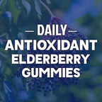 Elderberry Immune Support Gummies - 3X Strength Sambucus Elderberry Gummy with Vitamin C, D3 & Zinc - Nature’s Black Elderberry Extract - Immune Support Supplement for Adults & Kids - 60 Gummies
