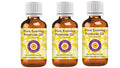 Deve Herbes Pure Evening Primrose Oil (Oenothera biennis) Cold Pressed (Pack of Three) 100ml X 3 (10 oz)