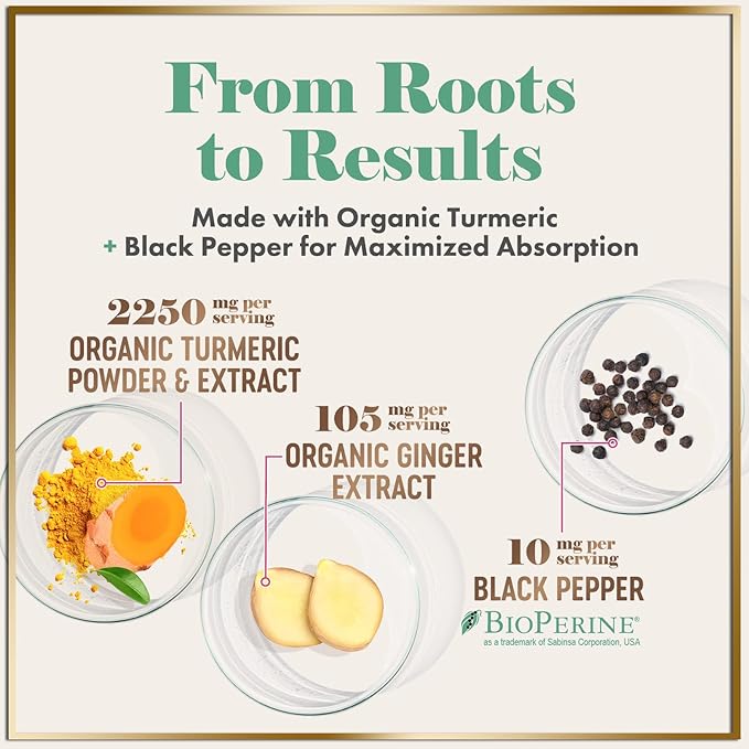 Turmeric Curcumin Supplement with 95% Curcuminoids, Organic Turmeric & Ginger 1750mg, BioPerine Black Pepper for Best Absorption, Nature's Vegan Joint Support, Non-GMO, Bottled in USA - 120 Capsules