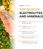 Instant Hydration Electrolytes Powder Packets - Citrus Orange Drink Mix - Zero Sugar - Keto, Vegan, Gluten-Free, Non-GMO - Boost Recovery, Brain Health, Muscle & Tissue Support- 30 Sticks
