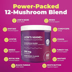 DR. MORITZ Ashwagandha + Lions Mane Mushroom Gummies Bundle – 120 Count Each – Sugar-Free, Non-GMO – with L-Theanine – Ashwagandha for Men & Women – Supports Calm, Focus, Relaxation & Immune Health