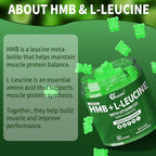 2 Pack HMB and L-Leucine Gummies - 3000mg HMB and Leucine Amino Acid with Vitamin D3 for Muscle and Energy Support, HMB Supplements for Men and Women, Sugar-Free, Vegan, Apple Flavor, 120 Gummies