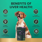 VetriScience Liver Health Chews with Milk Thistle, Vetri Liver Detox Supplement for Dogs, Turmeric and Artichoke Leaf for Liver Support and Detoxification, Chicken, 60 Count