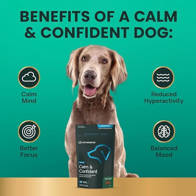 VetriScience Calm & Confident Chews, Composure Clinically Tested Calming & Anxiety Supplement for Dogs, Reduce Stress and Fear, Ideal for Thunderstorms, Fireworks & Travel 120 Count (Pack of 2)
