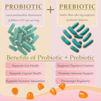 MATOP Vaginal Probiotic Prebiotic Gummies for Women - Vaginal pH Balance & Digestive Support, Grape Flavor, Vegan, Sugar-Free, Gluten-Free, 90 Count