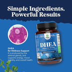 DHEA Supplement for Women & Men - DHEA 100mg per Serving for Hormone Balance, Mood Stability, Brain Function, Immune System & Energy - Dehydroepiandrosterone Capsules for Adults - 60 Count