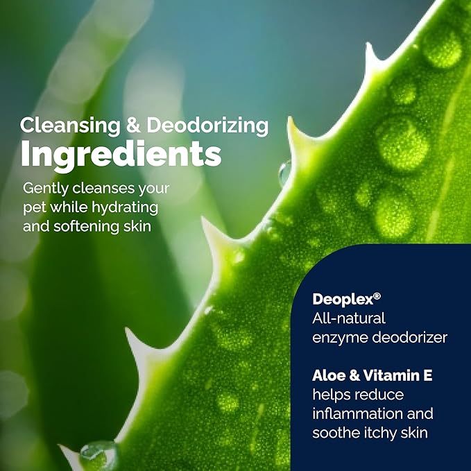 Vetnique Glandex Dog Wipes for Pets Cleansing & Deodorizing Anal Gland Hygienic Dog & Cat Wipes with Vitamin E, Skin Conditioners and Aloe Labs (100ct)