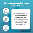 JungKwanJang i-Pass Junior Dietary Supplement- Korean Red Panax Ginseng Extract - Support Immune System, Memory Improvement and Concentration, Productivity - 30 Pouches