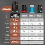 Birdman Falcon Performance Vegan Protein Powder, 31g Protein, 5g Creatine, 5g BCAA, Probiotics, Electrolytes, Pre Workout, Low Carb, Sugar Free & Dairy Free, Plant Based Chocolate Protein -47 servings