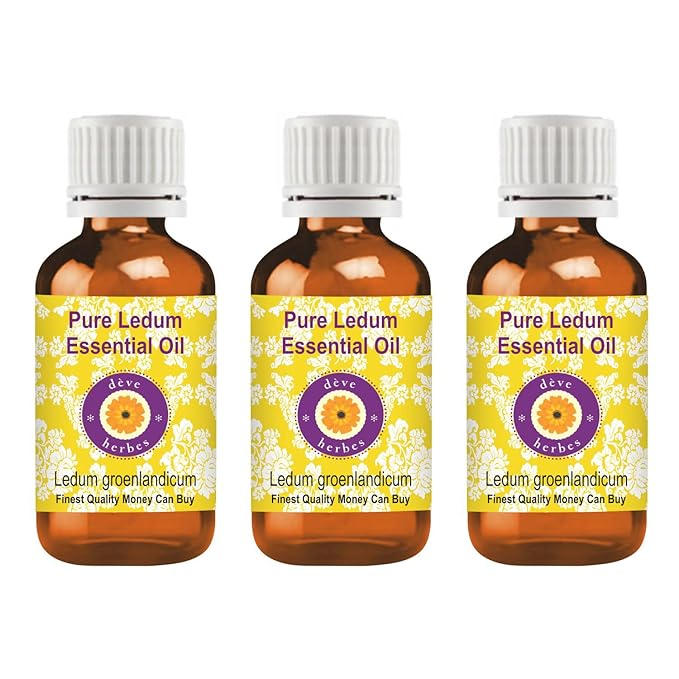 Deve Herbes Pure Ledum Essential Oil (Ledum groenlandicum) Steam Distilled (Pack of Three) 100ml X 3 (10 oz)