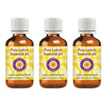 Deve Herbes Pure Ledum Essential Oil (Ledum groenlandicum) Steam Distilled (Pack of Three) 100ml X 3 (10 oz)
